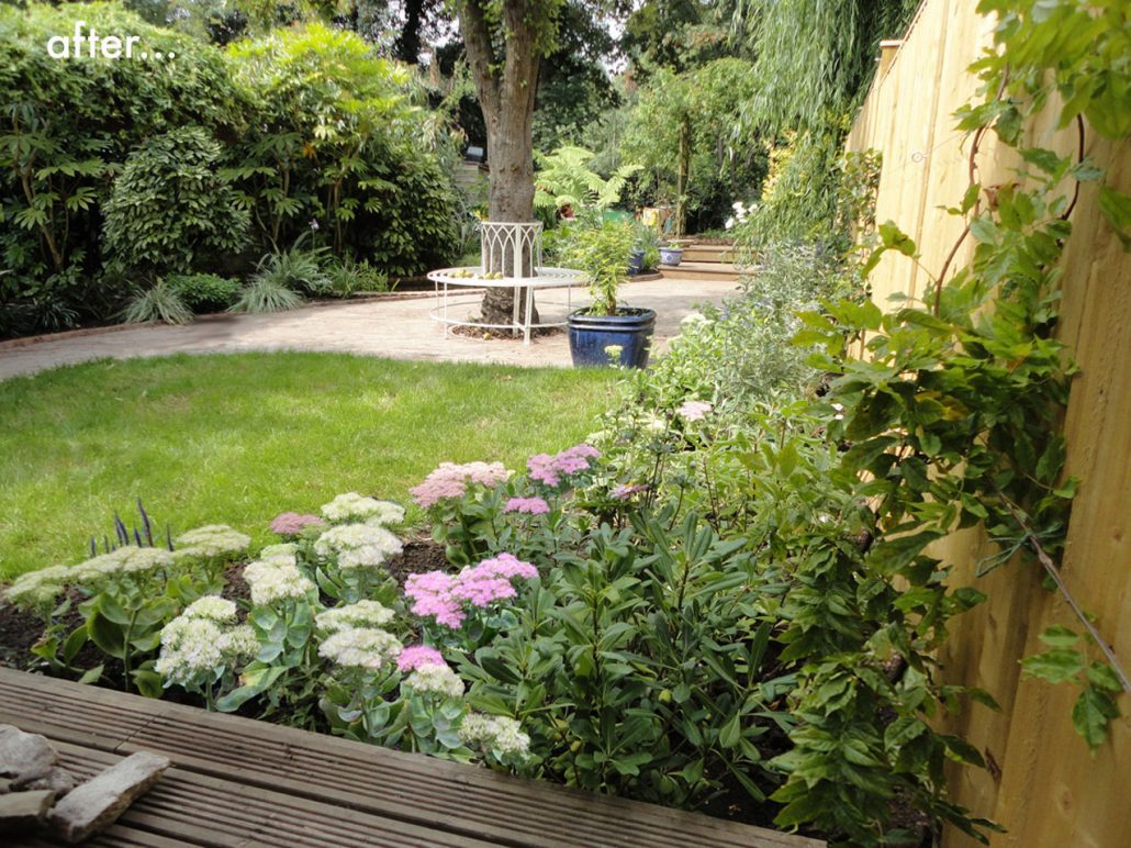 Pool garden design: London example by Dulwich landscape gardener